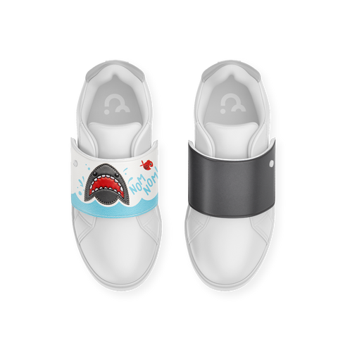 Shark Starter Box